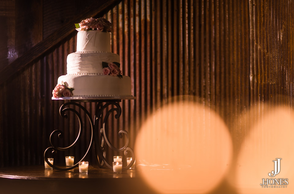 Lauren + Mike © J. Jones Photography - www.joshjonesphoto.com