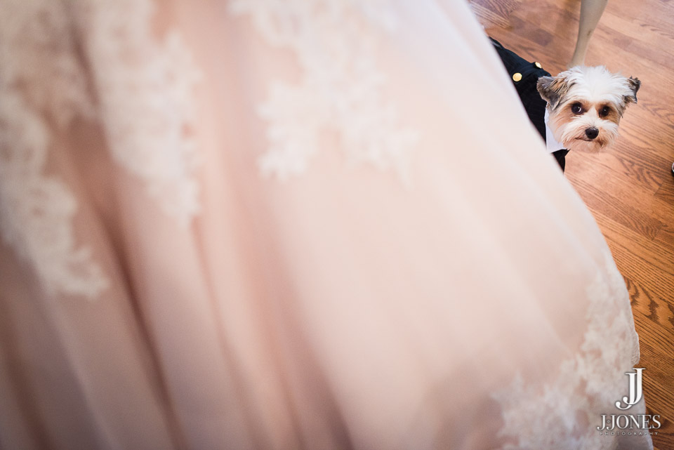 Ebony + Avery © J. Jones Photography - www.joshjonesphoto.com
