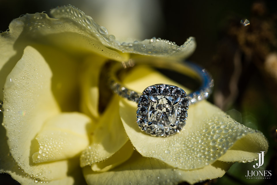 © J. Jones Photography - www.joshjonesphoto.com