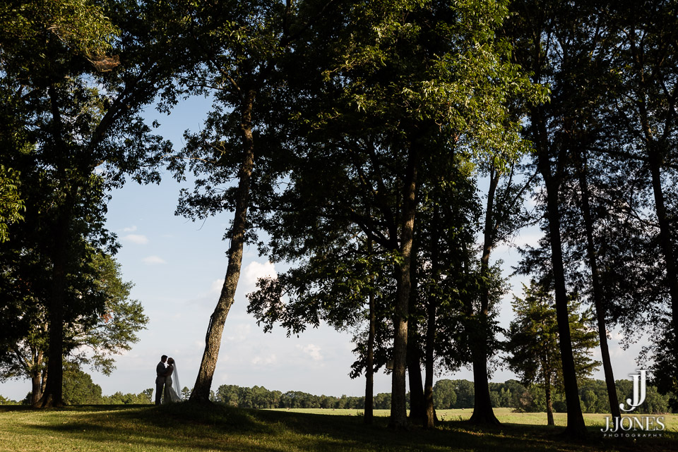 Recent Work Page 8 of 160 Greenville SC Wedding